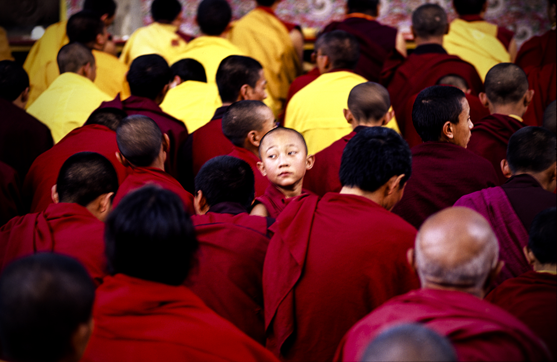 A child Buddhist monk 