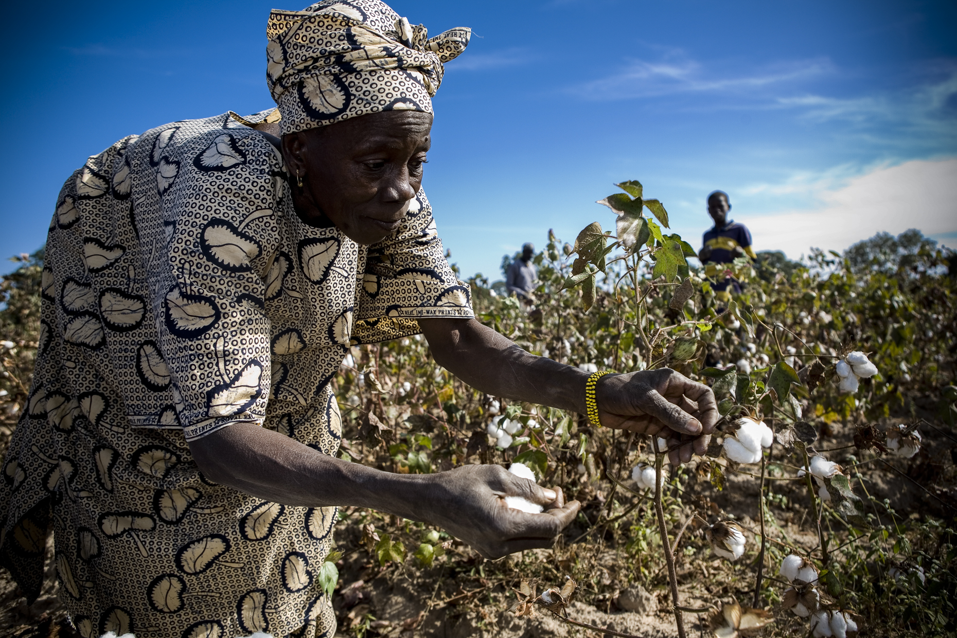 Fairtrade cotton farmer, Keita, Mali