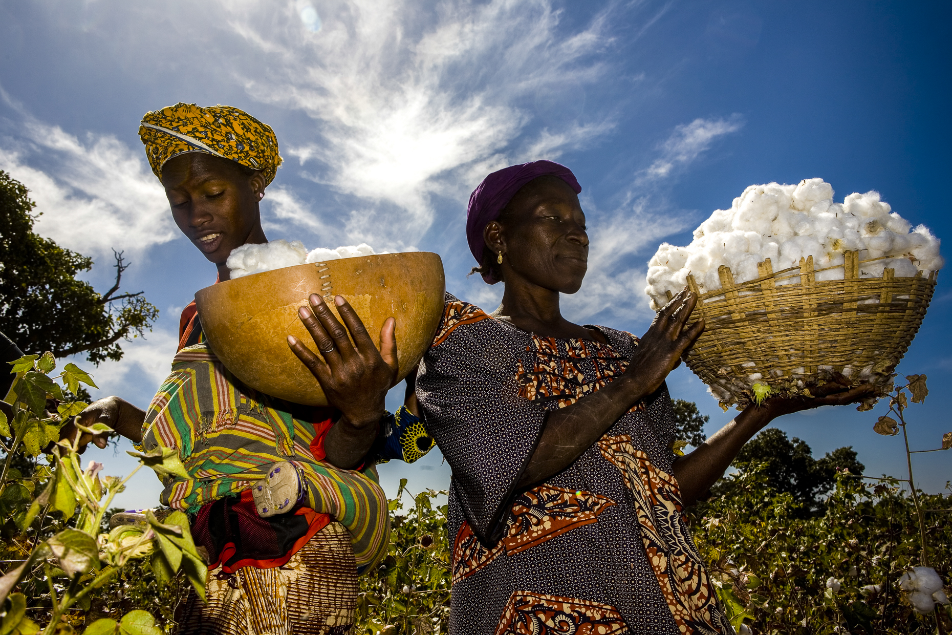 Fairtrade cotton farmers, Keita, Mali