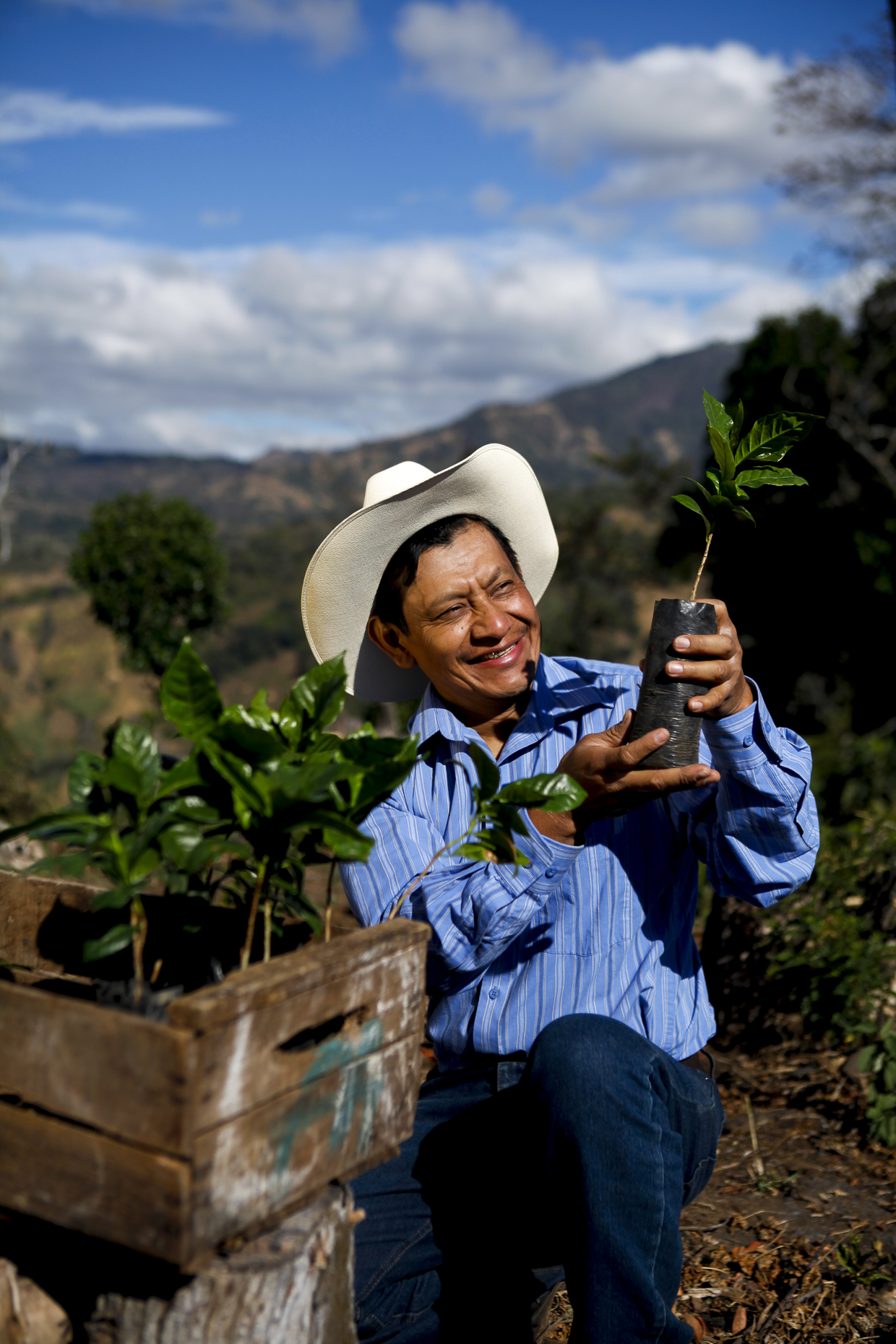 Coffee farmer, Guatemala